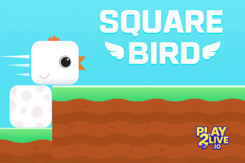 Square Bird