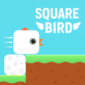 Square Bird