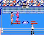 Nes Game Pro Wrestling