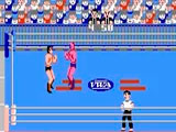 Nes Game Pro Wrestling
