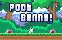 Poor Bunny