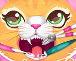 Precious Kitty Dentist