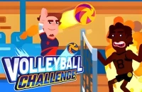 Volleyball Challenge
